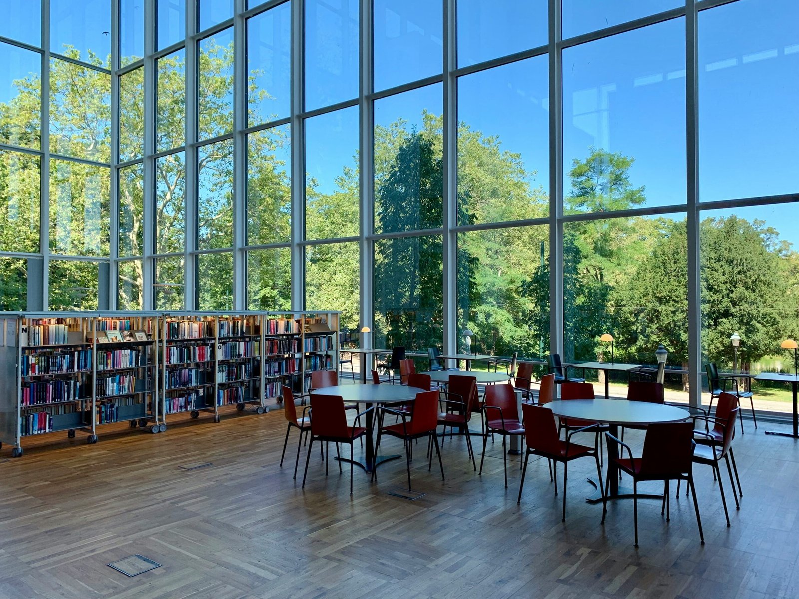 Modern Library interior with bookshelves and reading